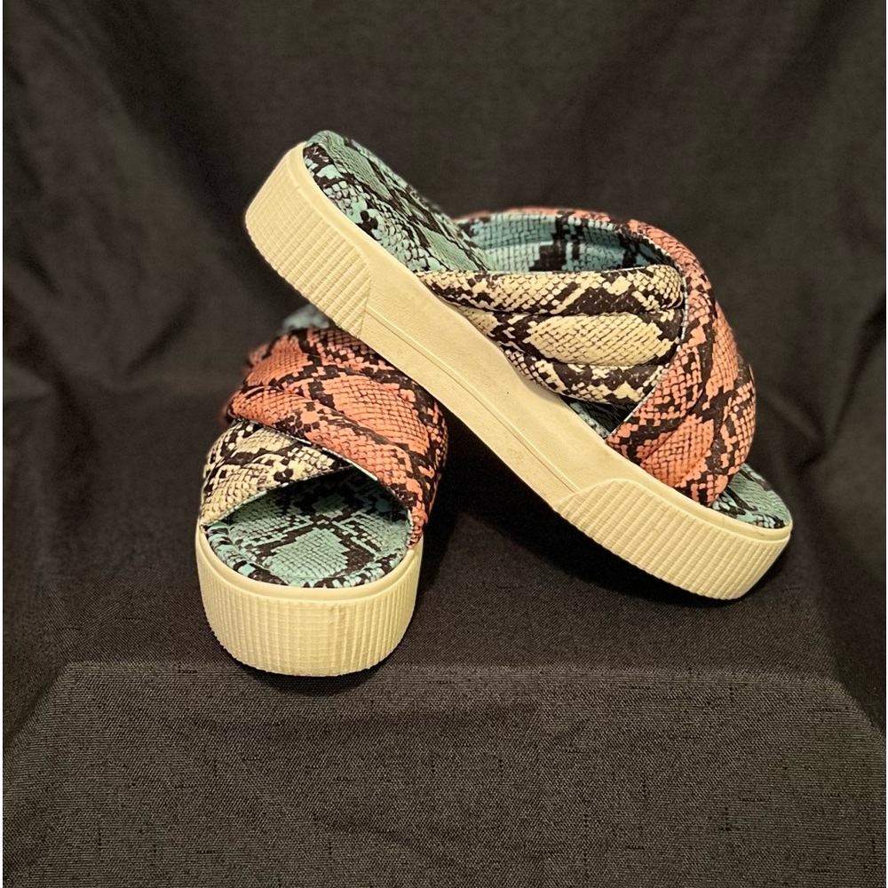 Reptile Platform Slides